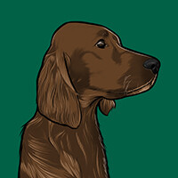 Best in show social media package