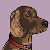 Best in Show social media package